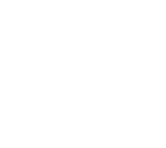 Village Inn
